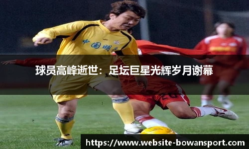 博万体育平台